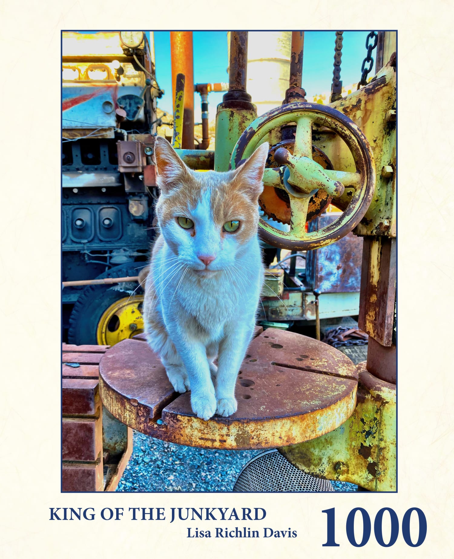 King Of The Junkyard Cats