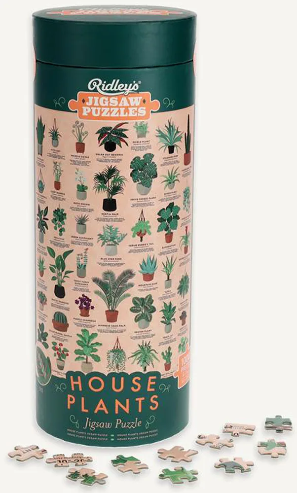 House Plants