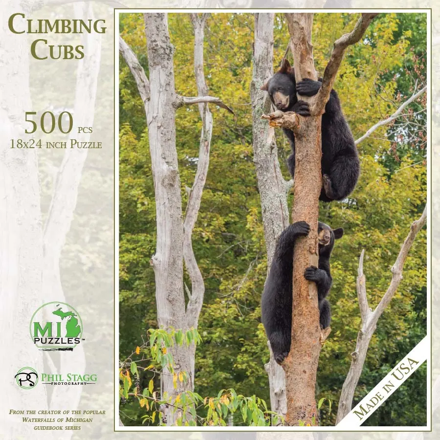 Climbing Cubs Bear