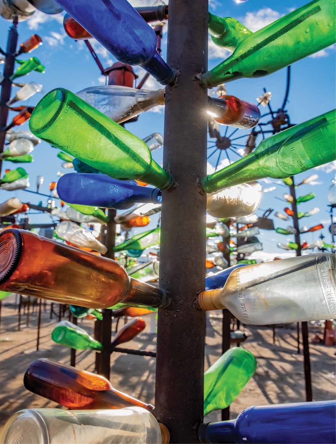 Bottle Tree Ranch Photography