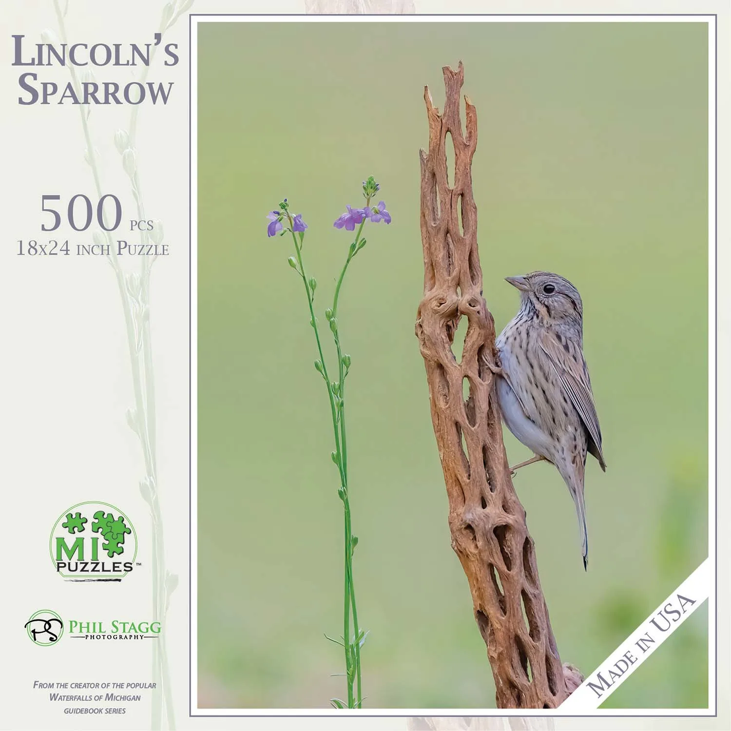 Lincoln's Sparrow Birds