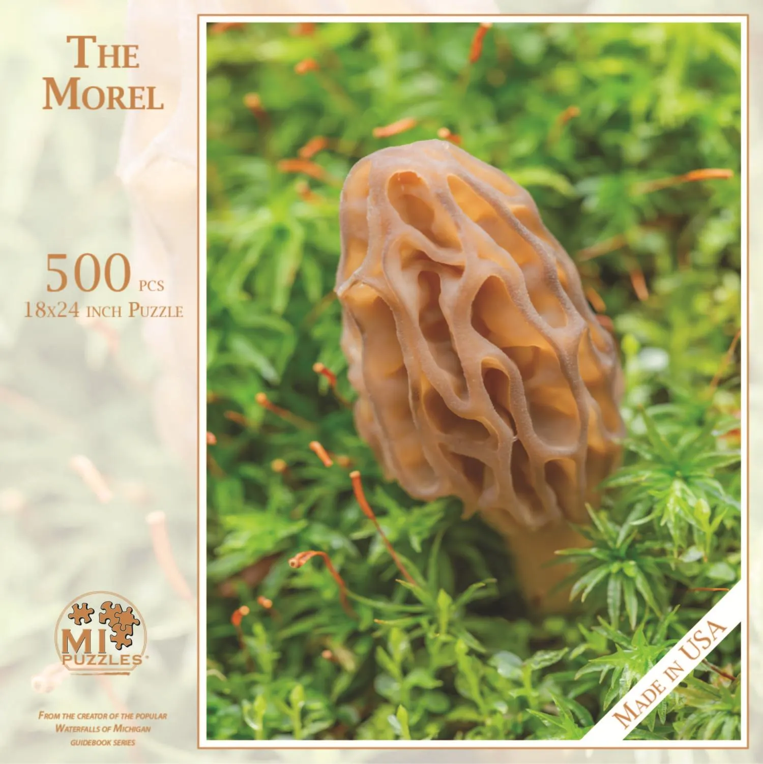 The Morel Photography