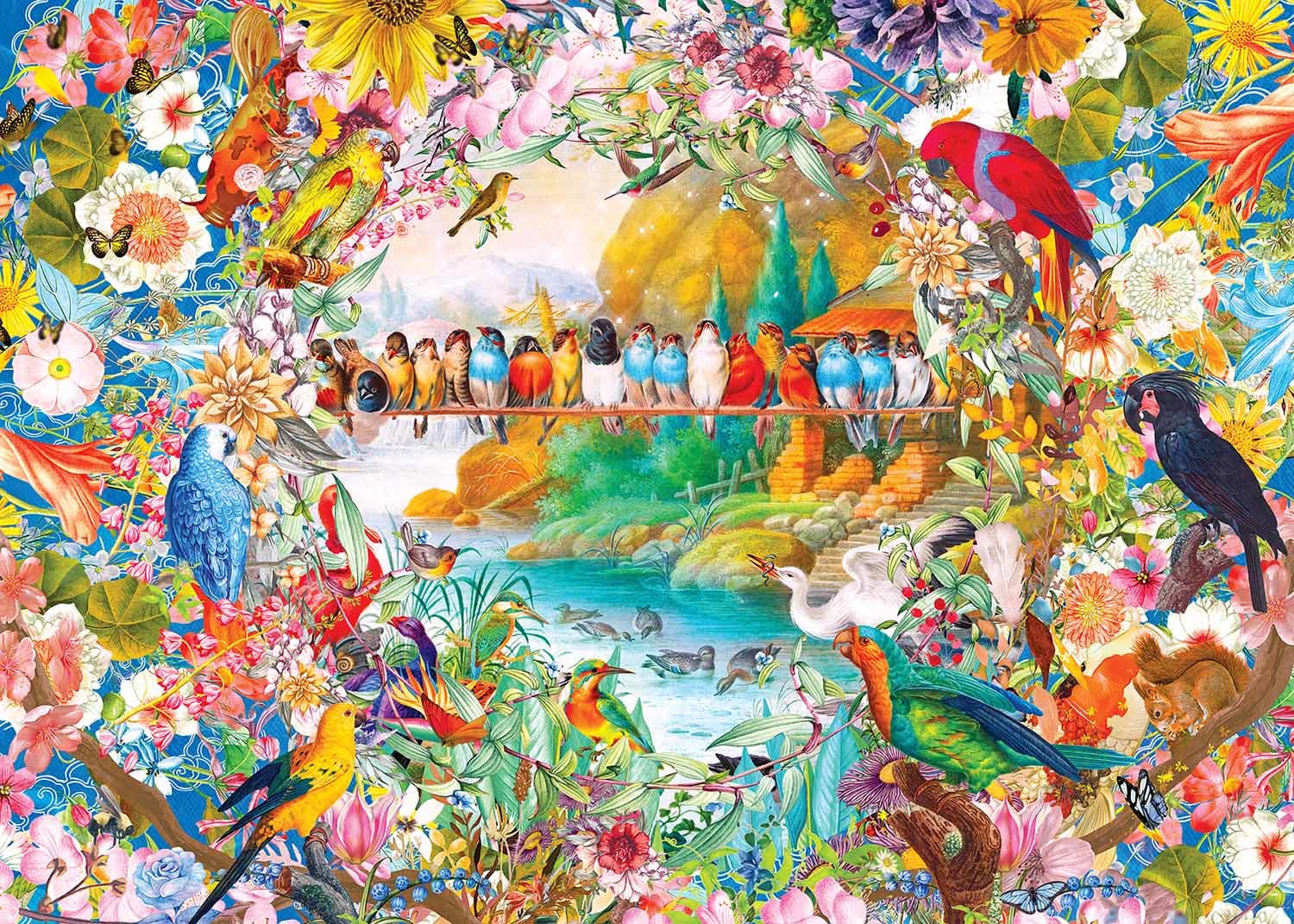 Birdsong - Scratch and Dent Birds