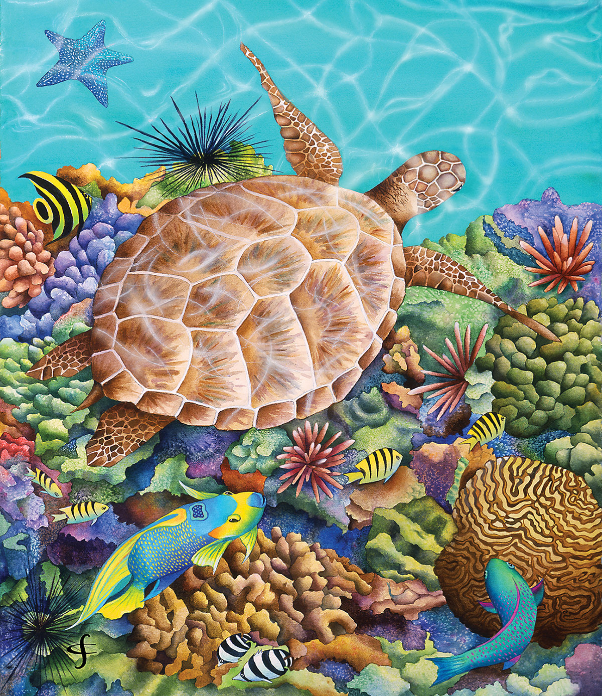 Turtle Pool Sea Life Jigsaw Puzzle