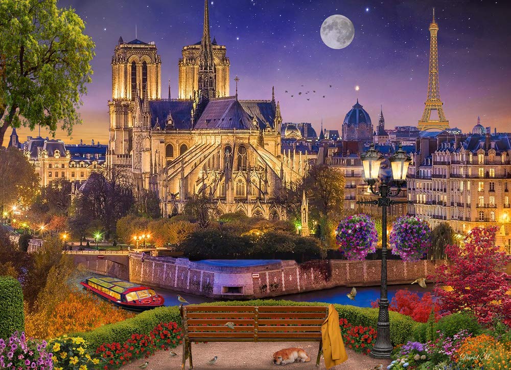 Notre Dame Night Paris & France Jigsaw Puzzle
