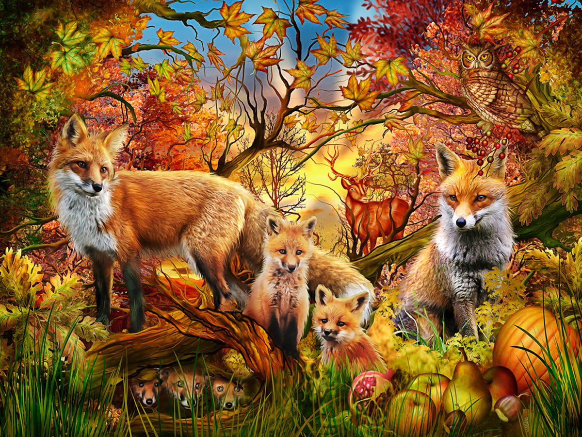 Autumn Foxes Forest Animal