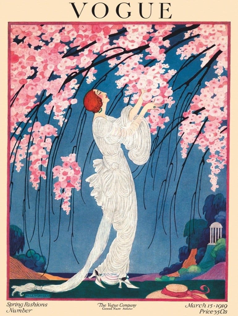 Cherry Blossoms Spring