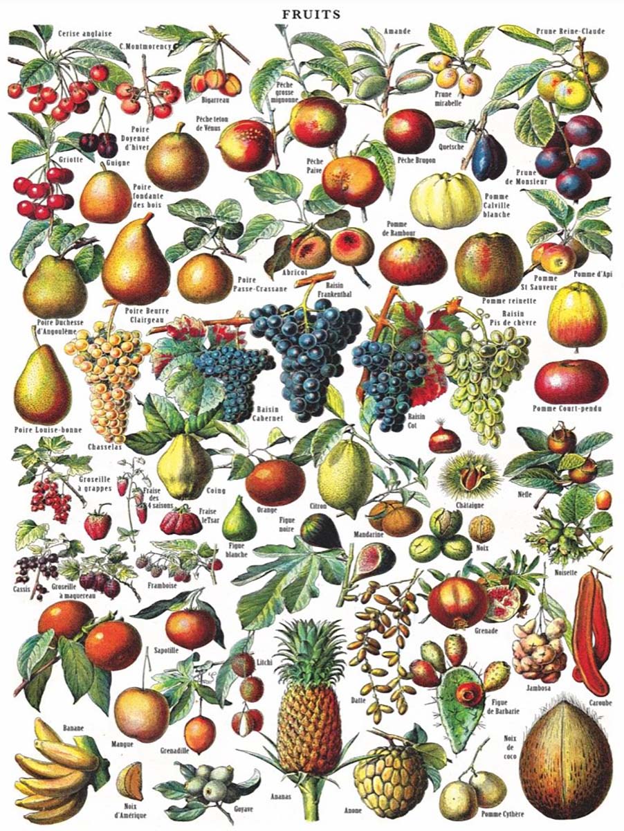 Fruits Fruit & Vegetable Jigsaw Puzzle