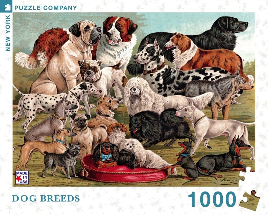 Dog Breeds