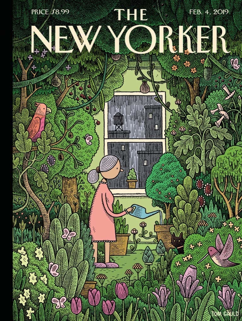 Winter Garden Flower & Garden