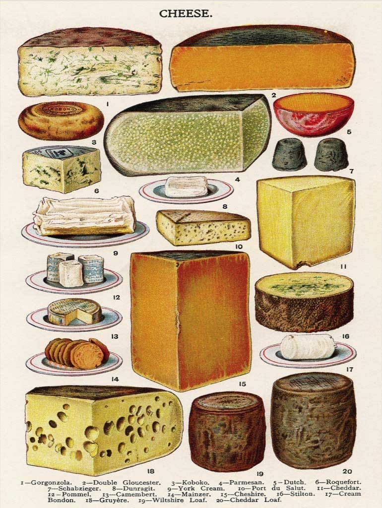 Cheese Food and Drink