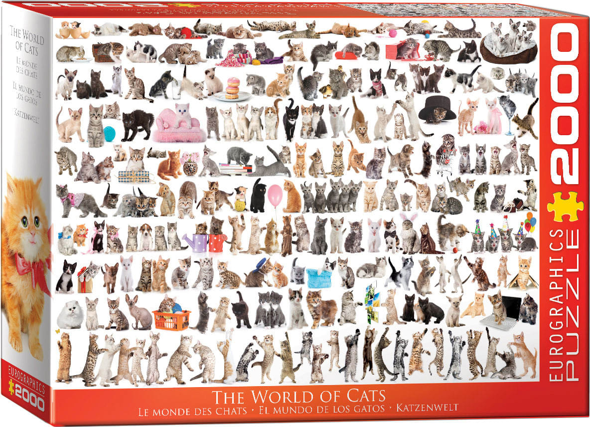 The World of Cats