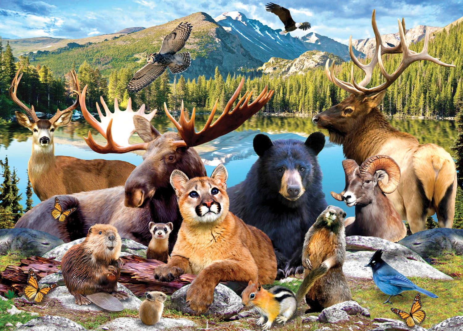 Rocky Mountain Animals
