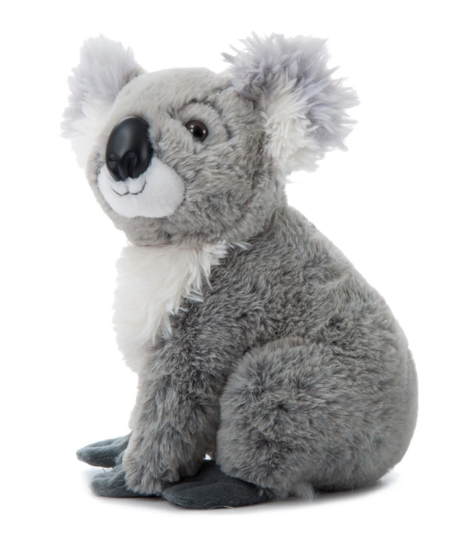 Koala MD 12" (25cm)