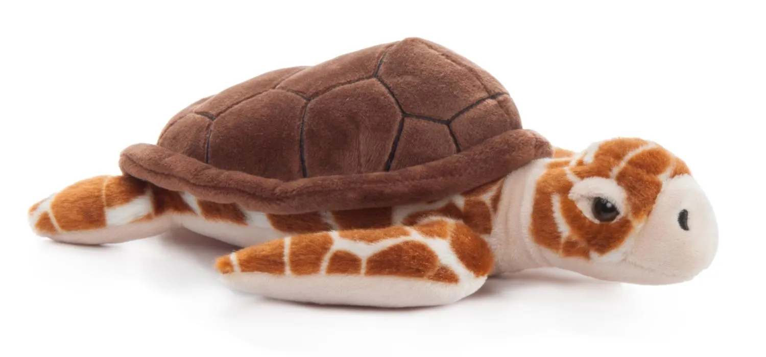 Loggerhead Sea Turtle 16"