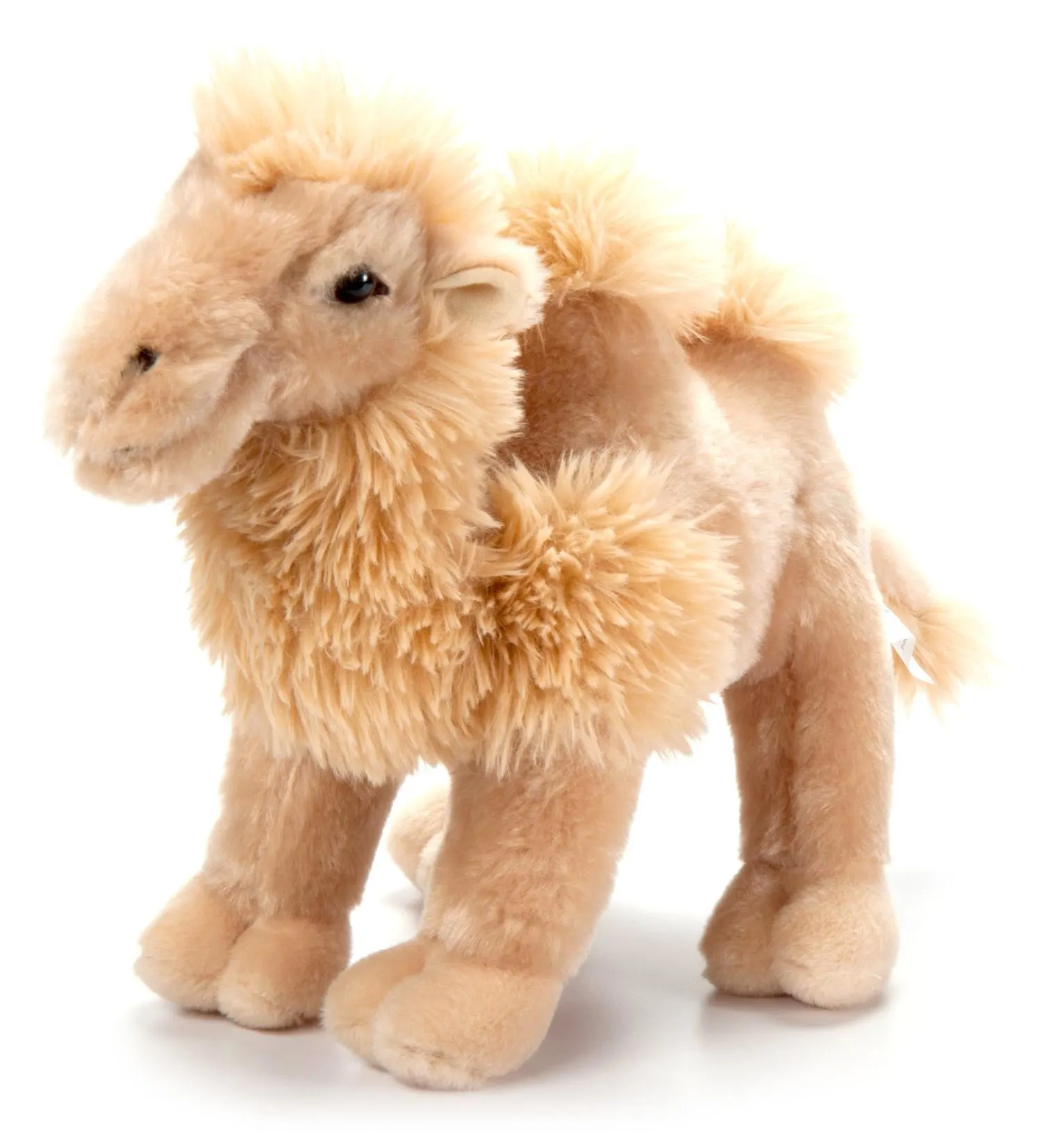 Bactrian Camel MD 12" (33cm)