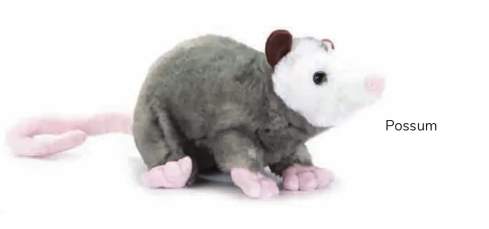 Possum - Wild Onez 8"