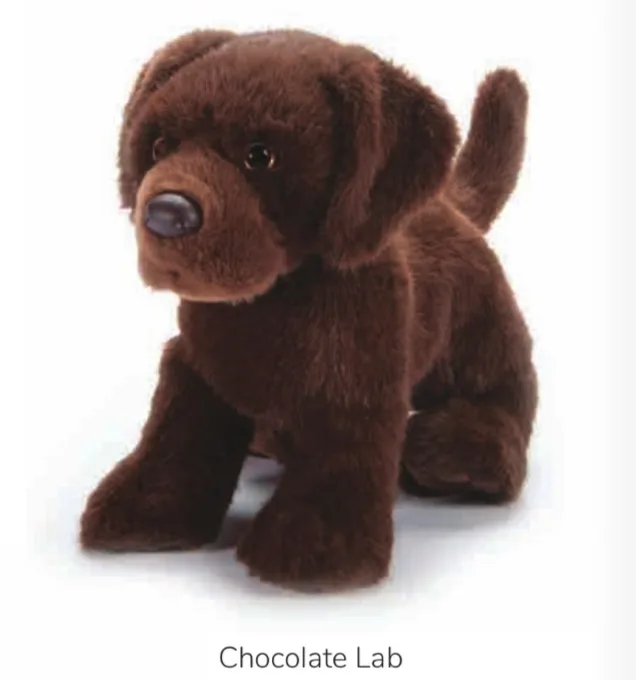 Dog, Chocolate Labrador Retriever 11"