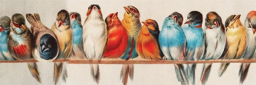 Perch Birds