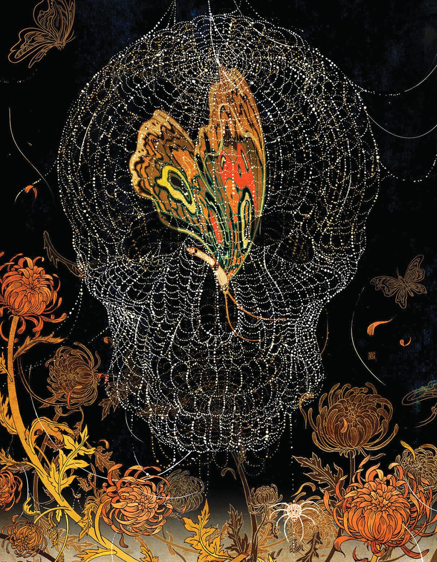 Cocoon Butterflies and Insects