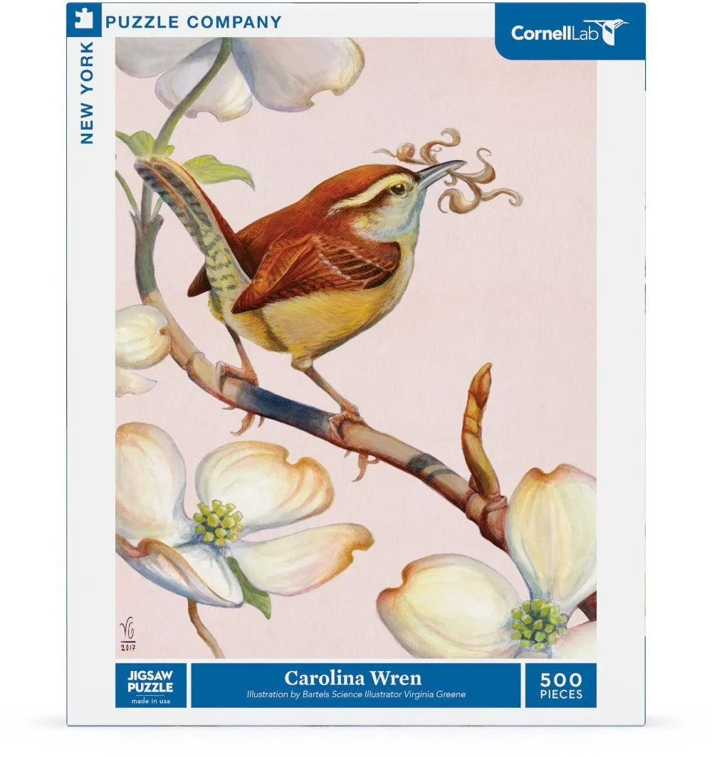 Carolina Wren Birds