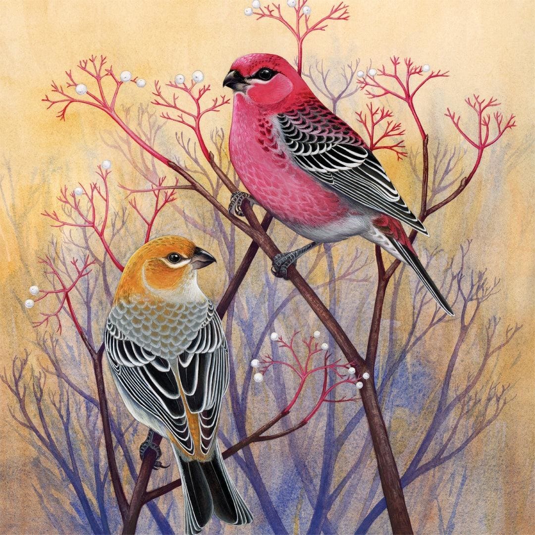 Pine Grosbeaks