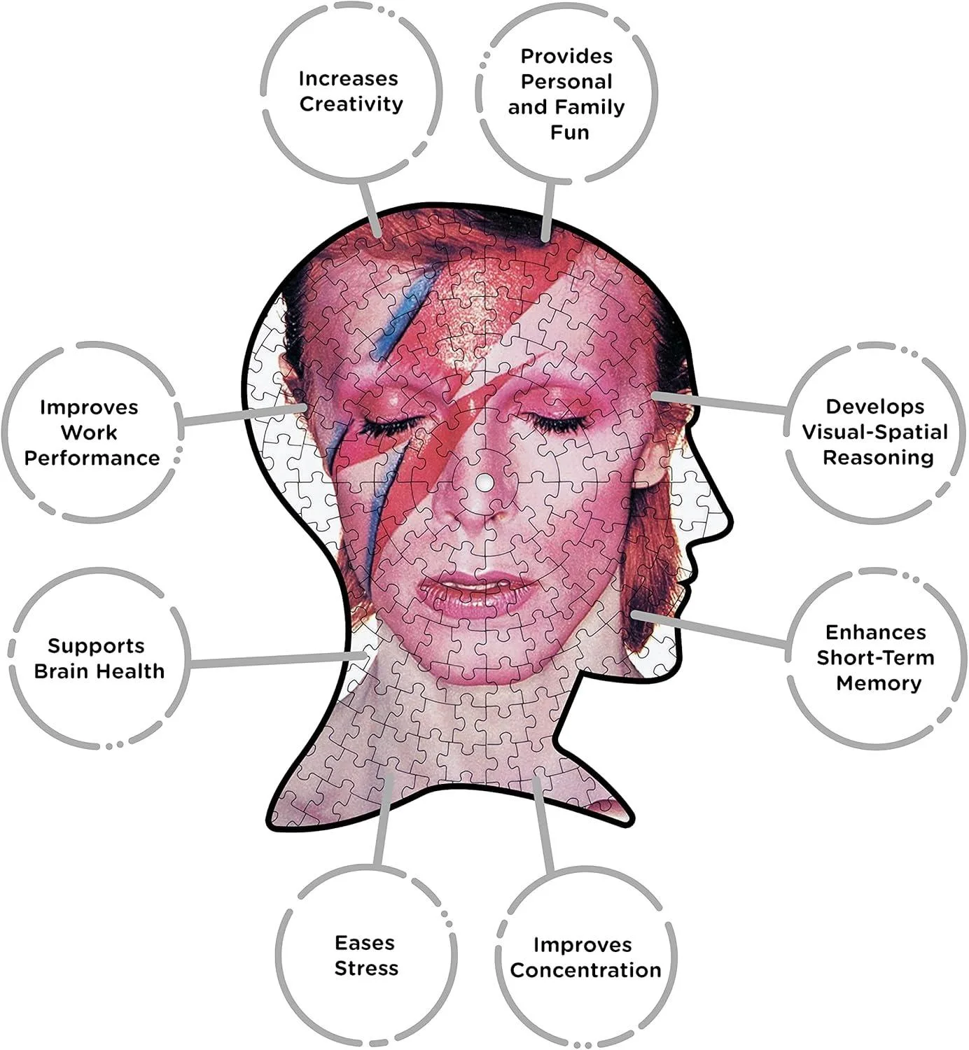 David Bowie Aladdin Sane Picture Disc Puzzle
