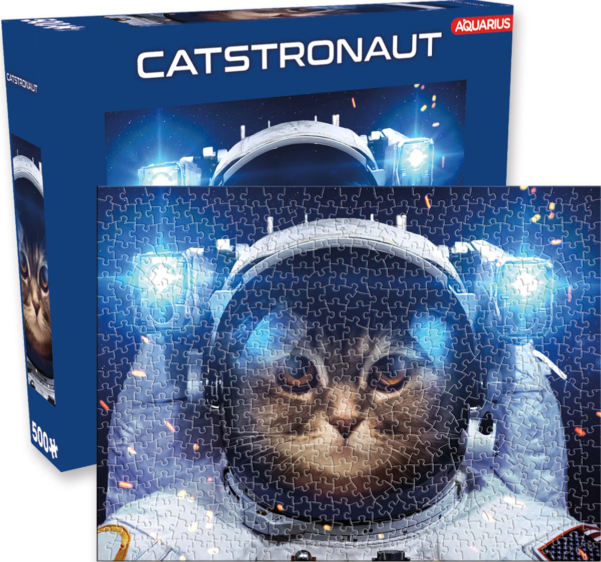 Catstronaut Space