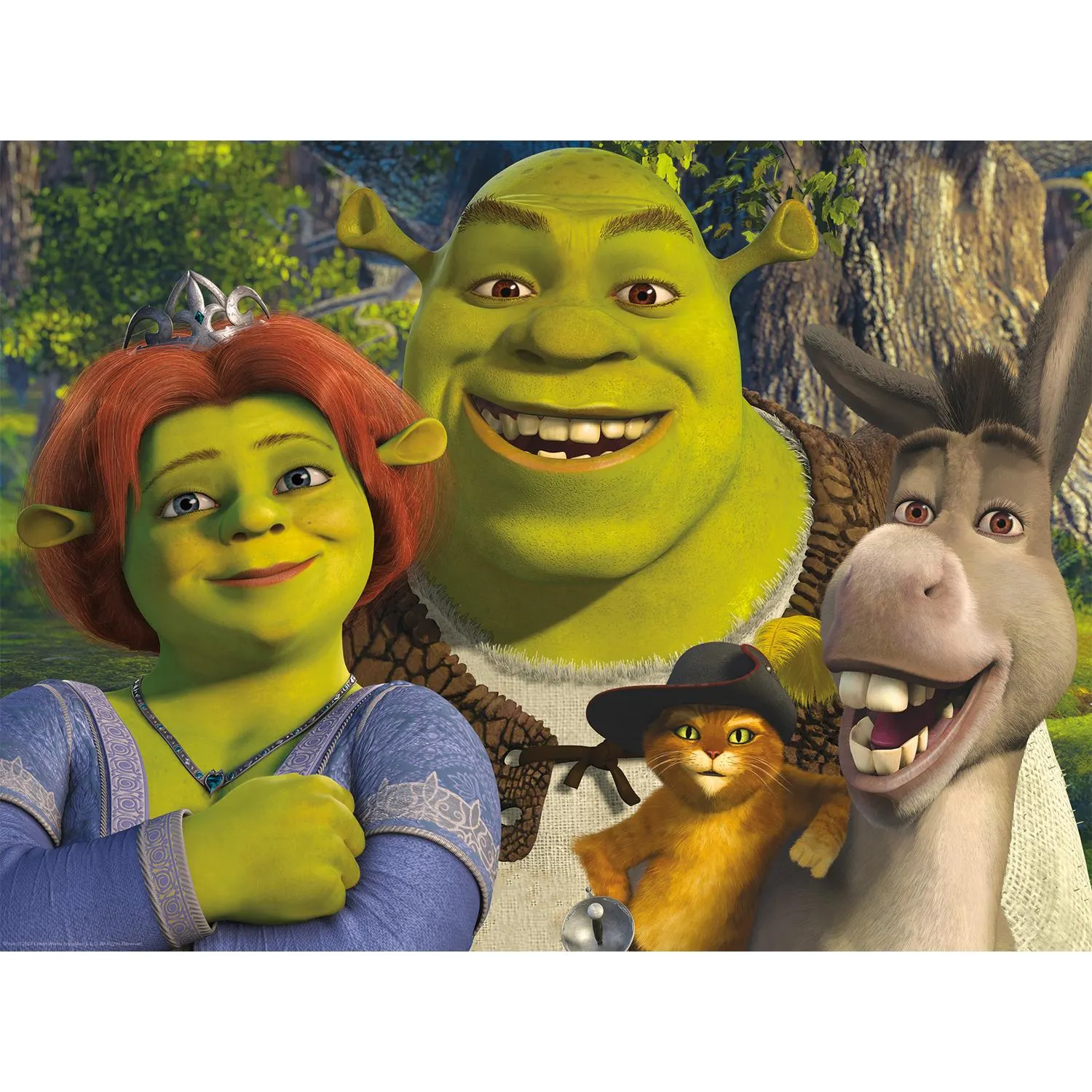Shrek - Family Puzzle Movies & TV