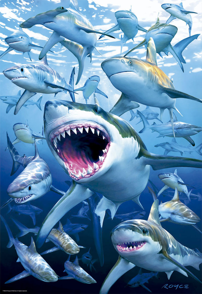 Shark Club Sea Life Jigsaw Puzzle