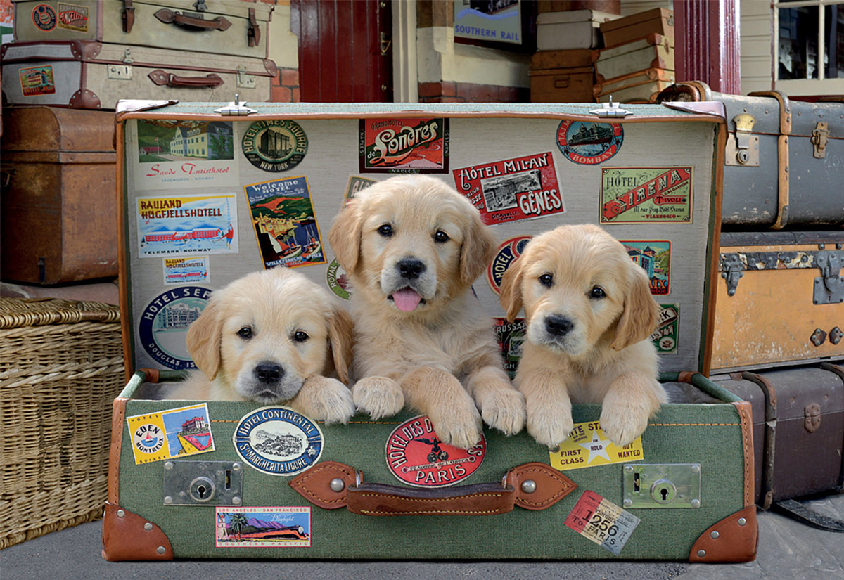 Puppies in the Luggage Animals Jigsaw Puzzle