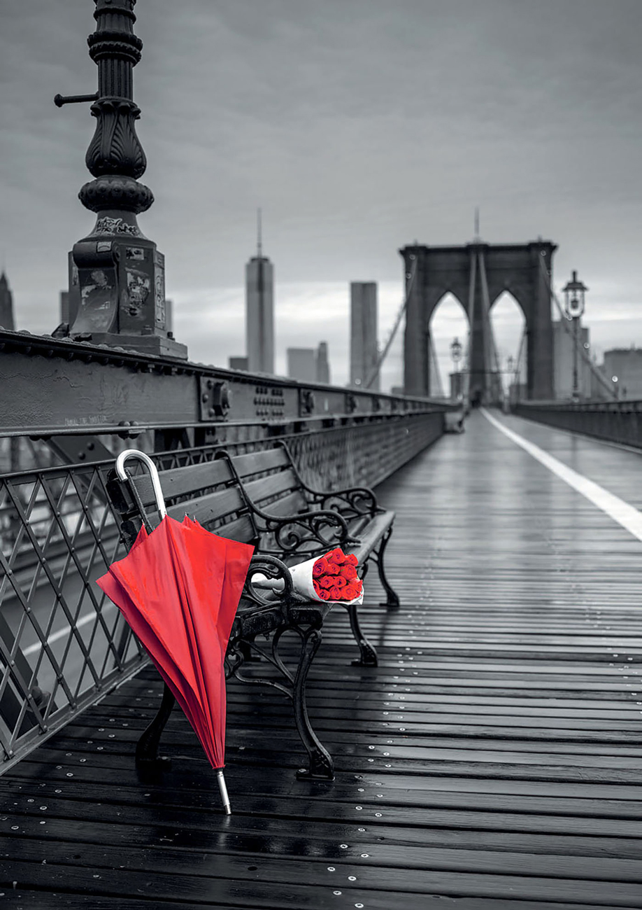 Red Umbrella Brooklyn New York Jigsaw Puzzle