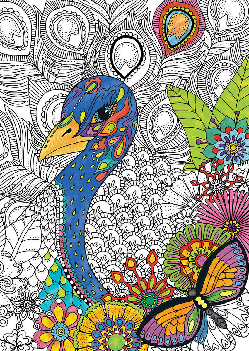 Jungle Safari (300 Coloring) Birds Jigsaw Puzzle