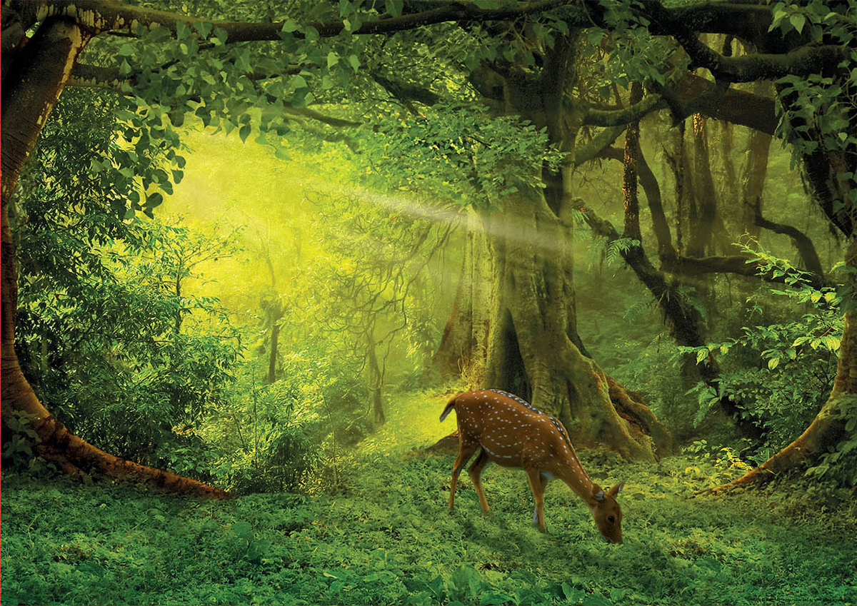 Little Deer Forest Animal Jigsaw Puzzle