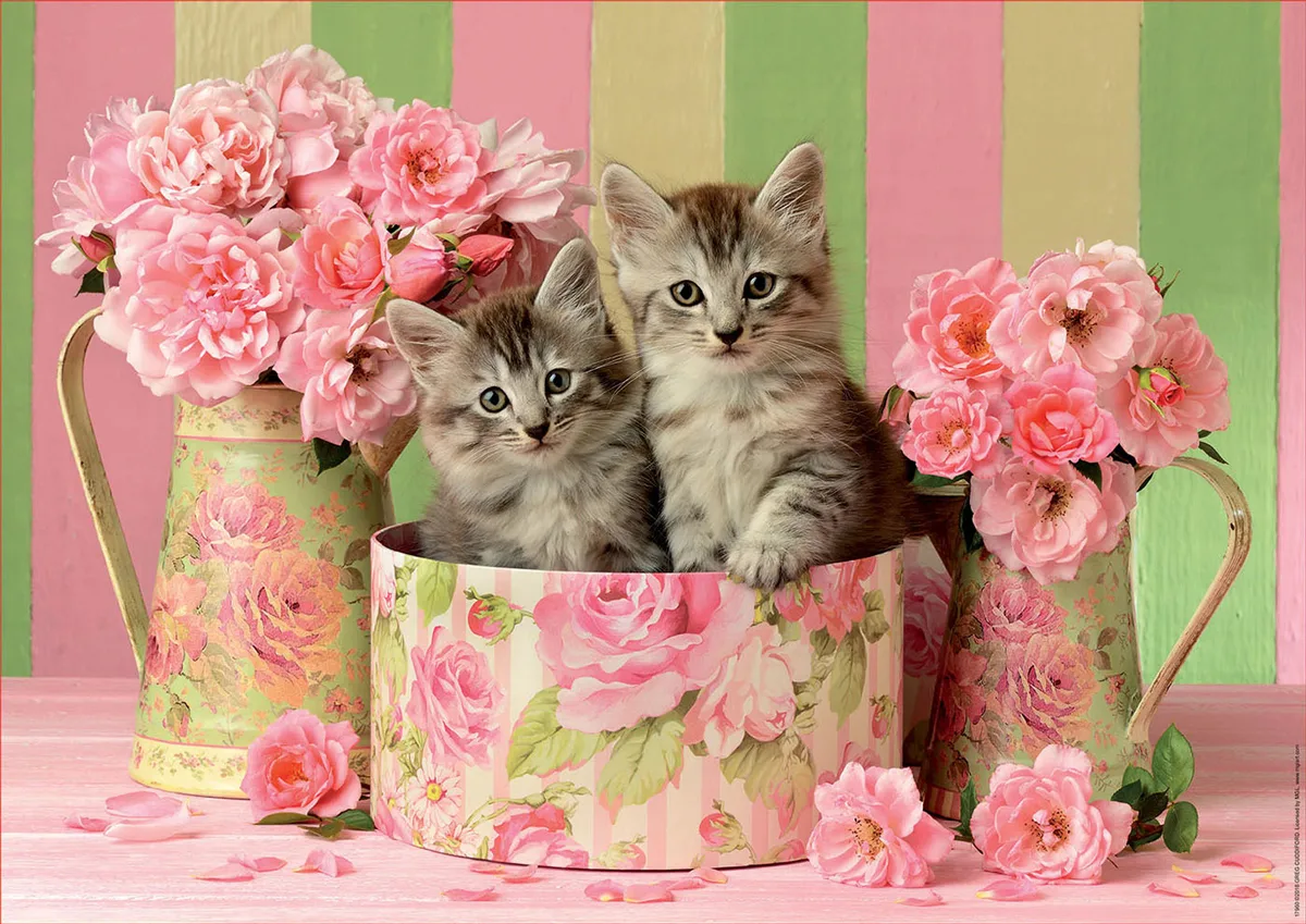 Kittens With Roses