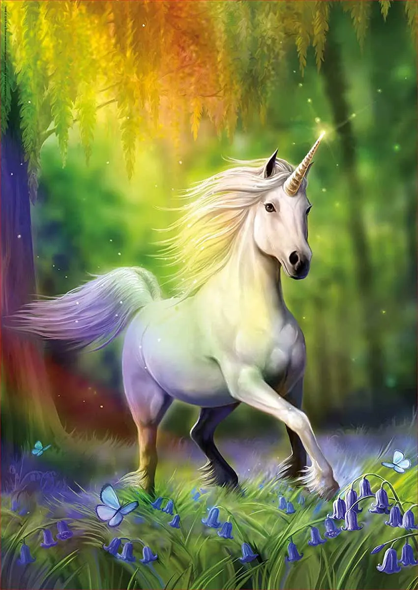 Chasing The Rainbow Unicorn
