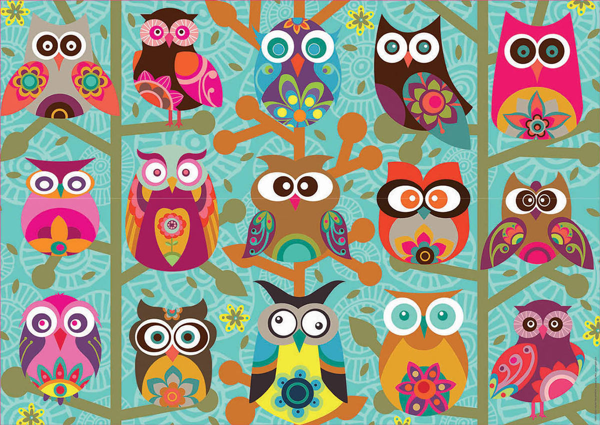 Owls Birds