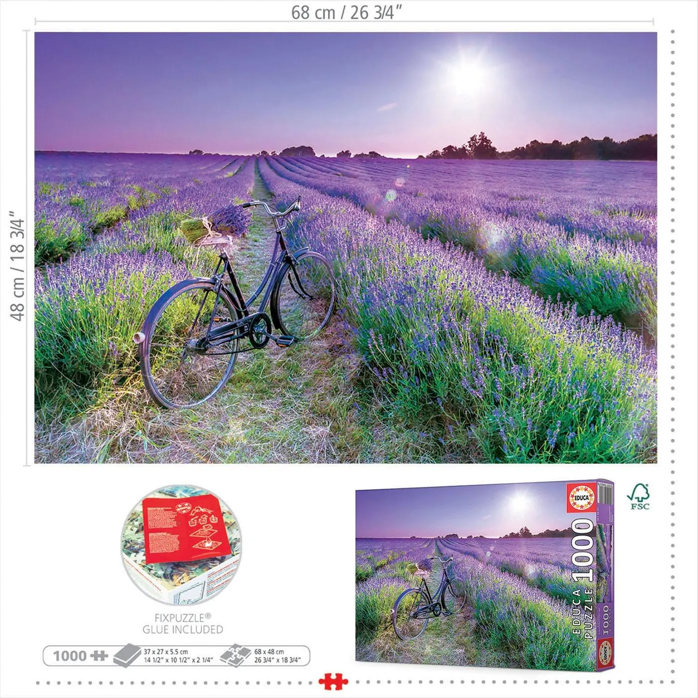 Cycling in the Lavender Field