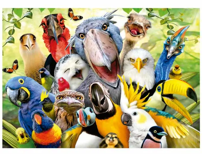 Watch The Birdie Birds