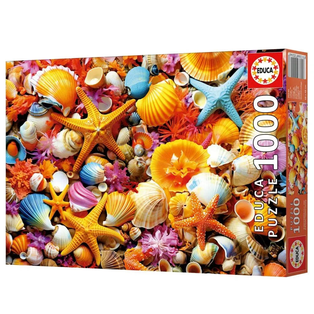 Shell Collage - Scratch and Dent