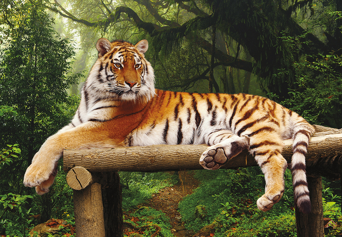 Majestic Tiger Forest Jigsaw Puzzle