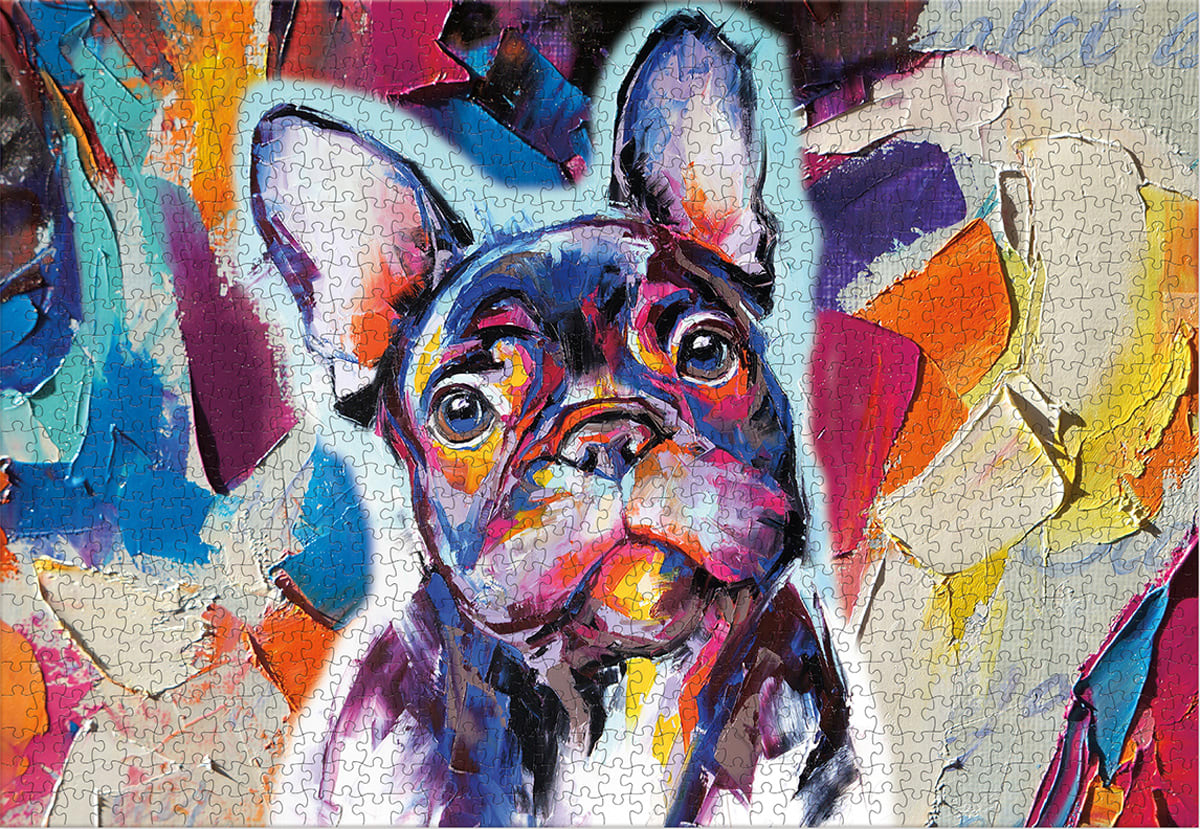 Frenchy Portrait - Scratch and Dent Dogs