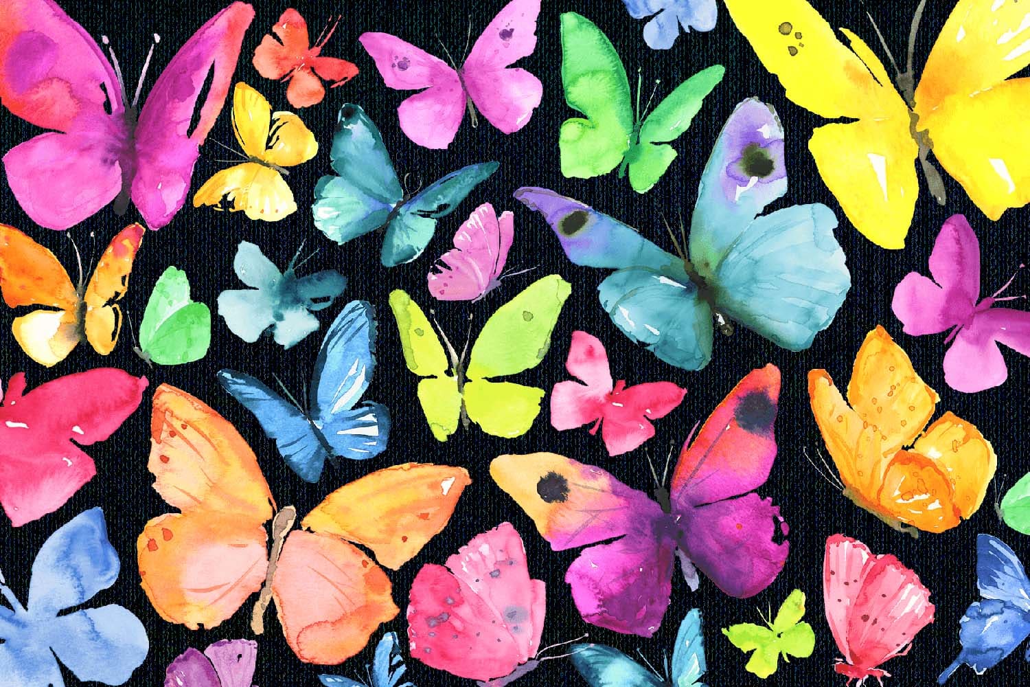 Butterflies
