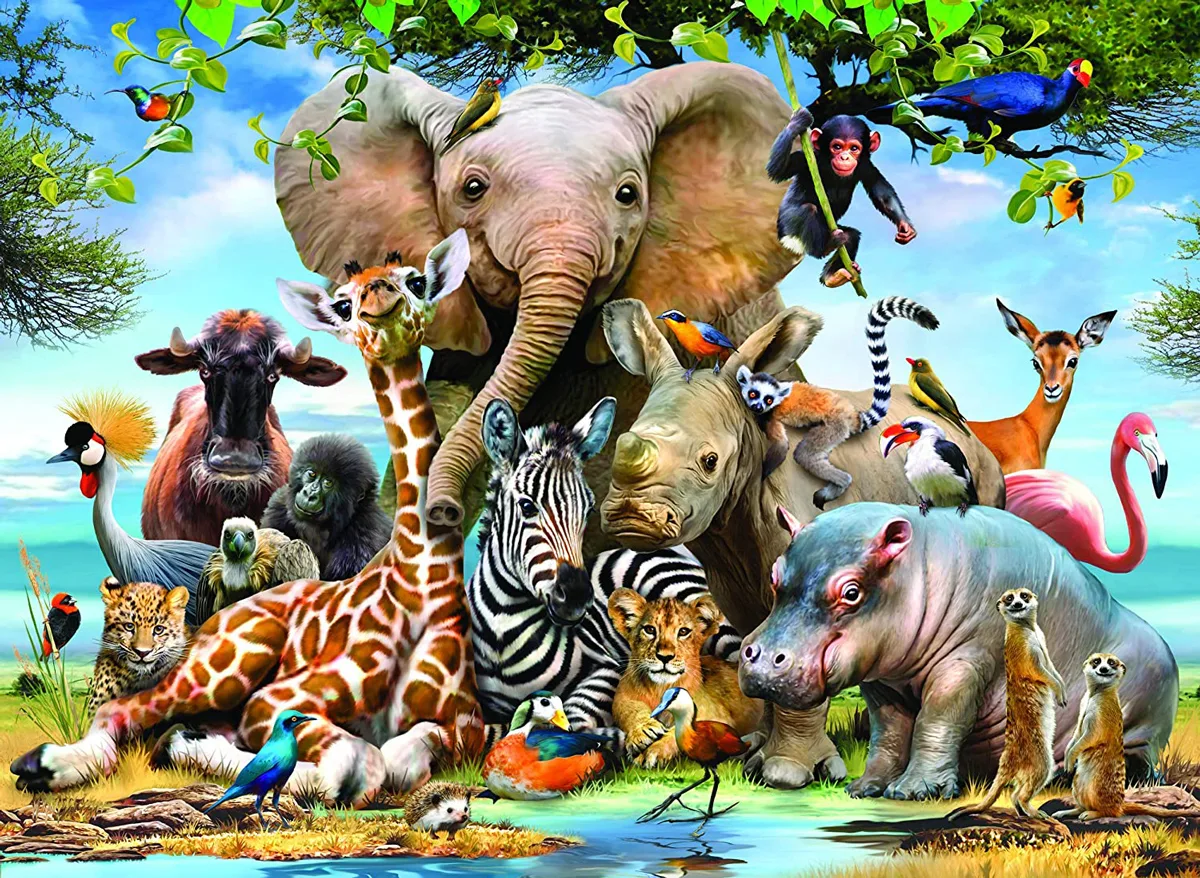 African Smile Africa