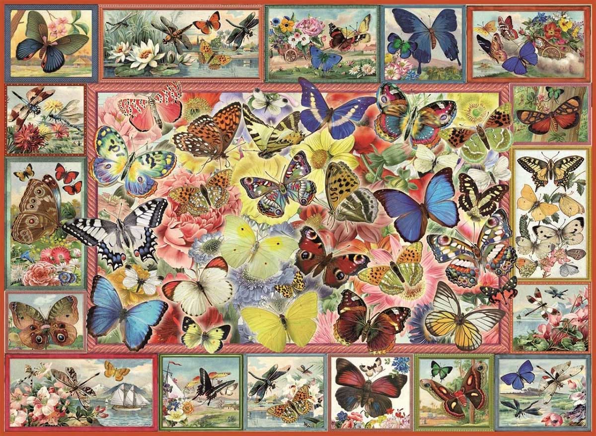 Lots Of Butterflies - Scratch and Dent Butterflies and Insects