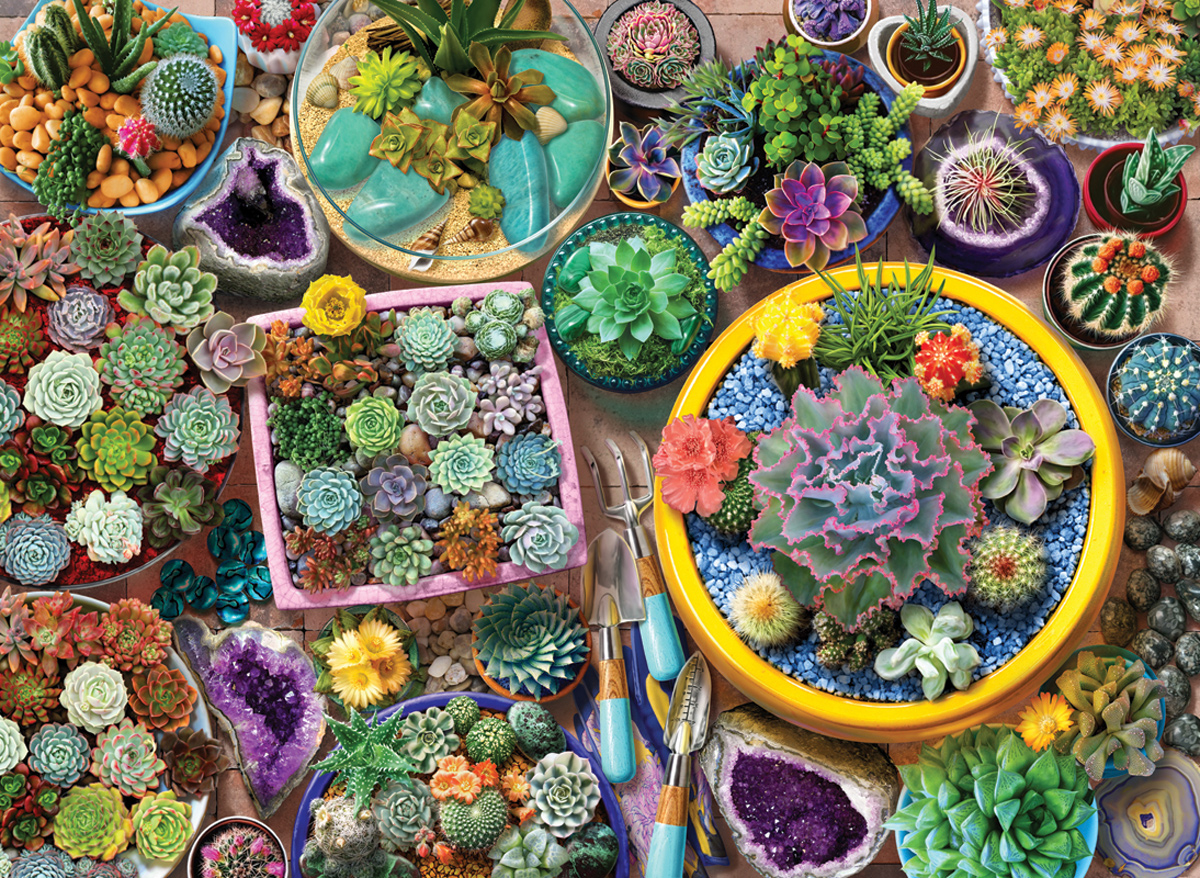 Cacti Pots Jigsaw Puzzle