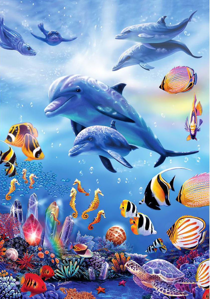 Seahorse Kingdom Sea Life