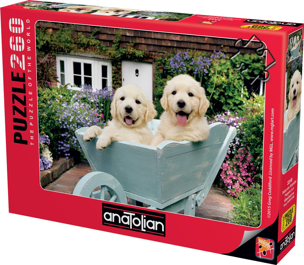 Puppies In A Wheelbarrow