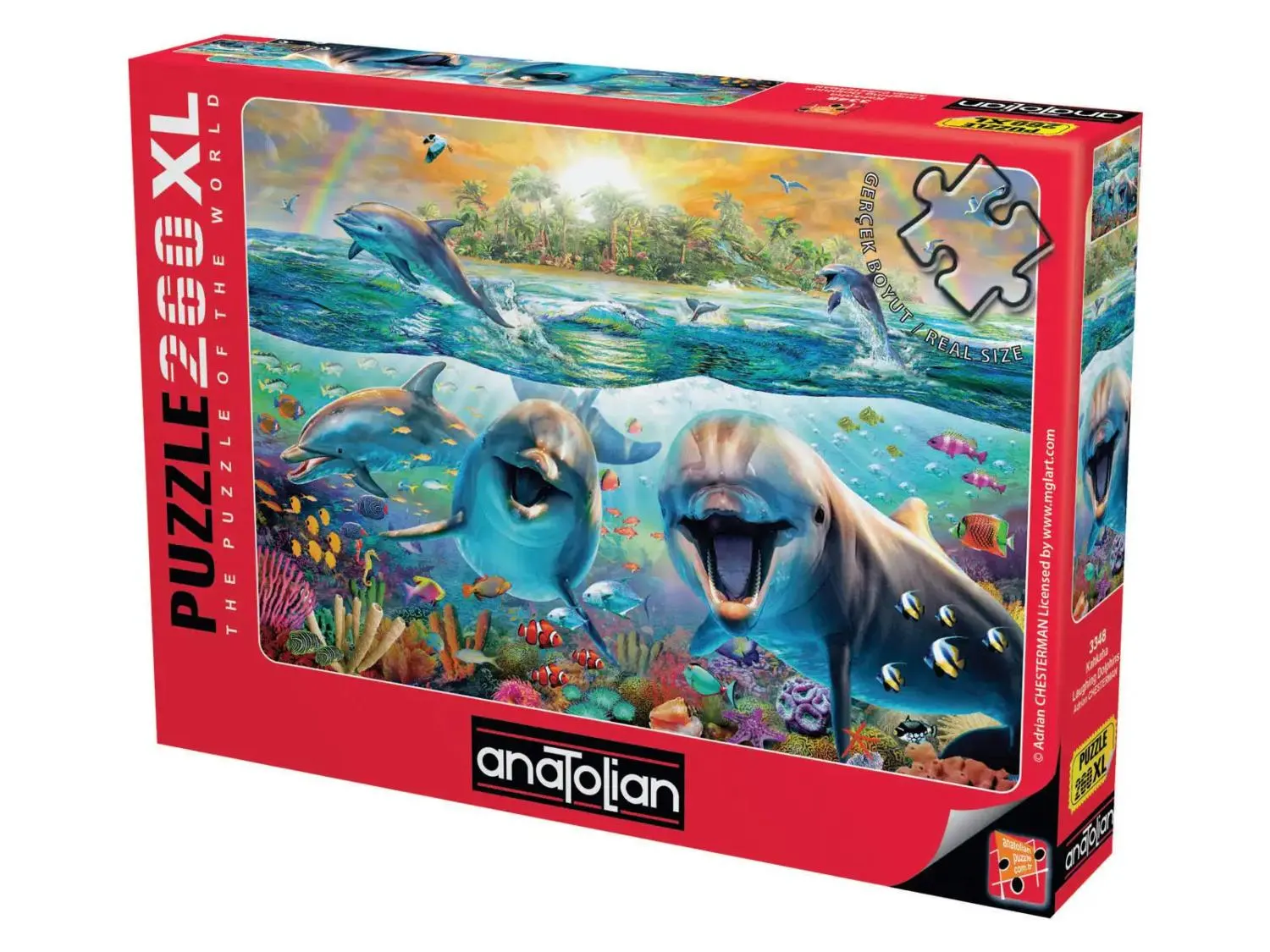 Laughing Dolphins - Scratch and Dent Sea Life