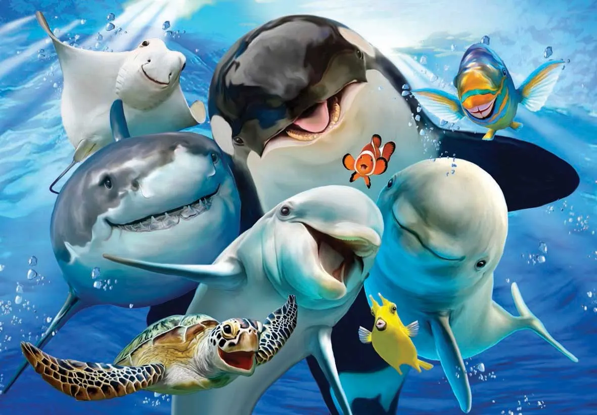 Ocean Selfie - Scratch and Dent Sea Life